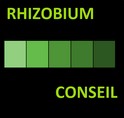 Rhizobium conseil